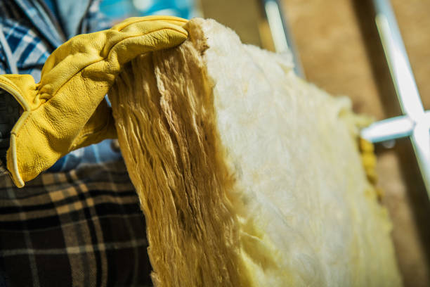 Best Cellulose Insulation in Rawls Springs, MS